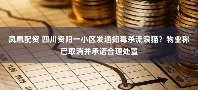 凤凰配资 四川资阳一小区发通知毒杀流浪猫？物业称已取消并承诺合理处置